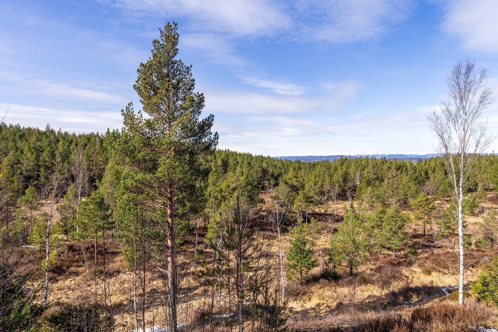 Utsikten fra veranda Galleribilde