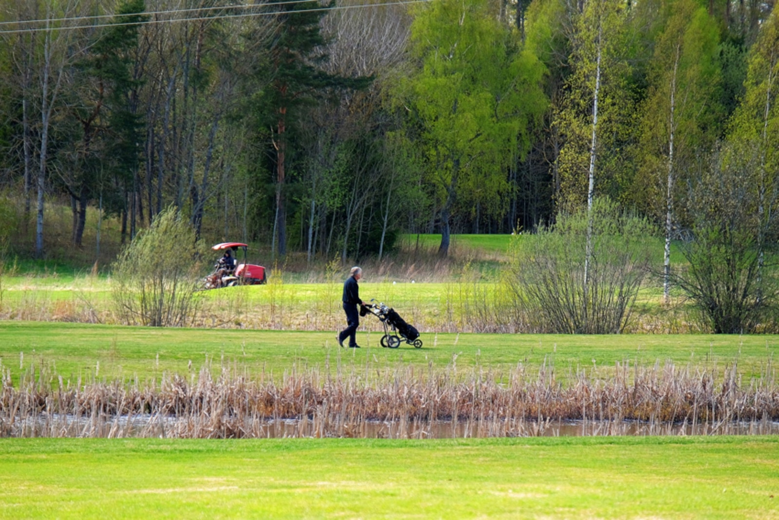 Borre golfbane Galleribilde