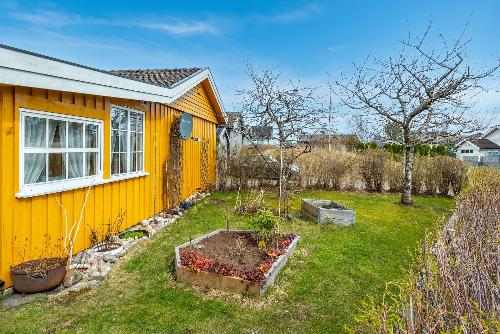Hage med plenareal og blomsterbed. Galleribilde