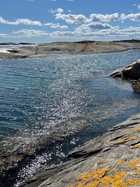 Svaberg i nærområdet gir deg en naturlig møteplass med sjøen - perfekte for late sommerdager, morgenbad og rolige kvelder helt nede ved vannkanten. Galleribilde