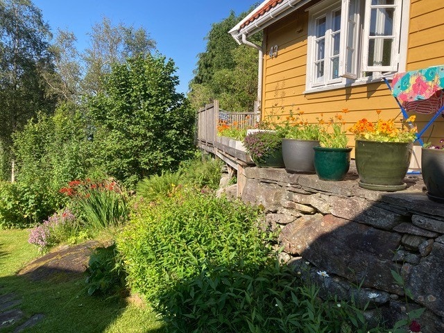 Bilde tatt av selger Galleribilde