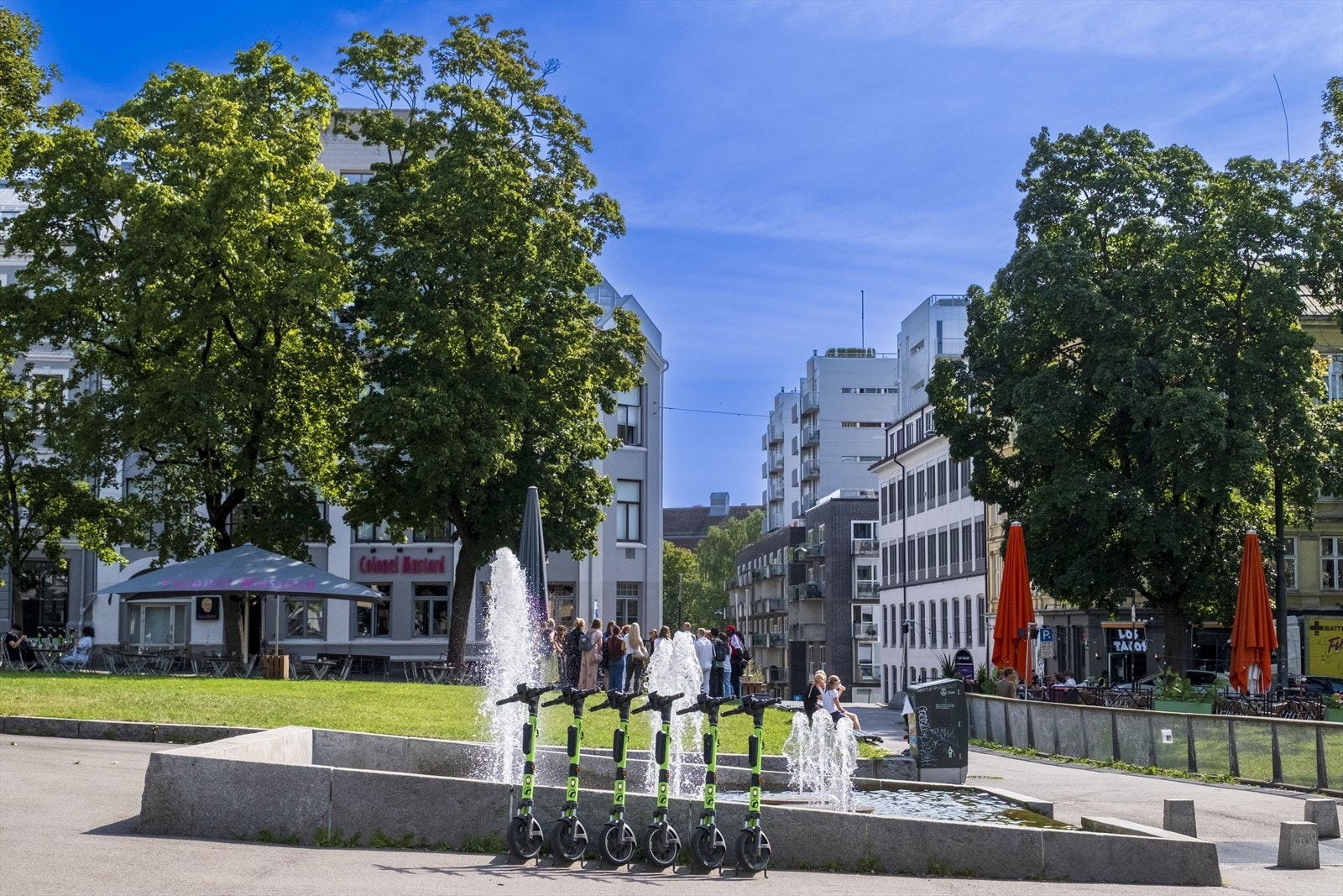 Nærområdet. Galleribilde