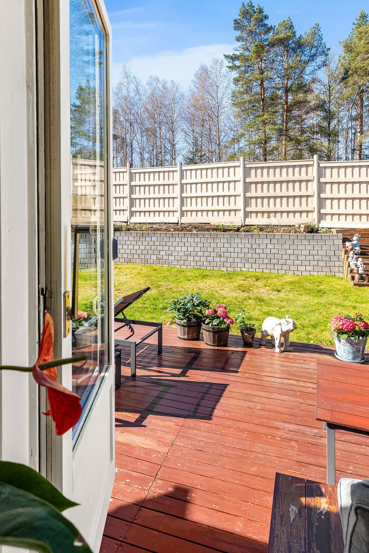 Velkommen ut til hagen! Galleribilde
