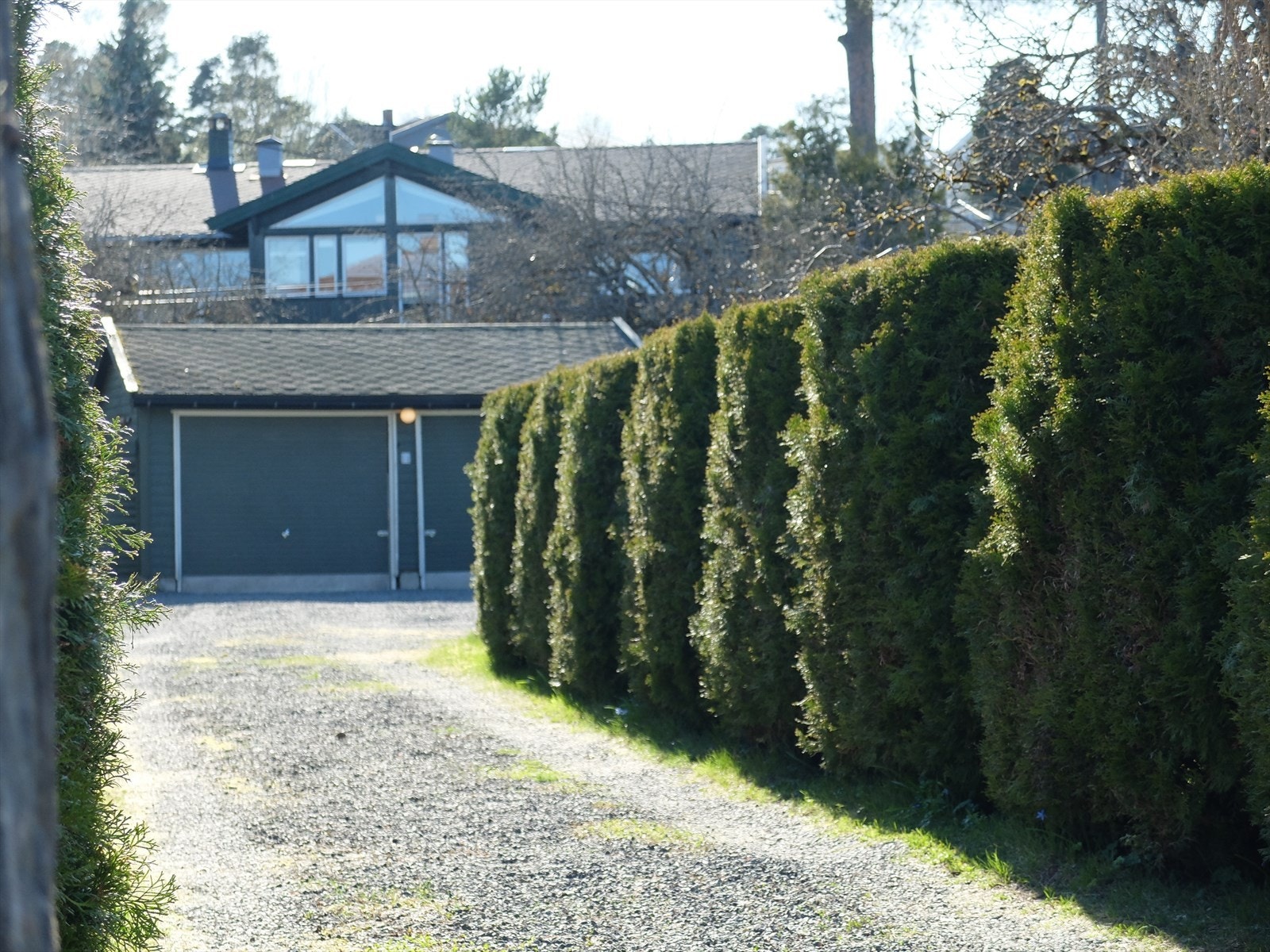 Egne bilder Galleribilde