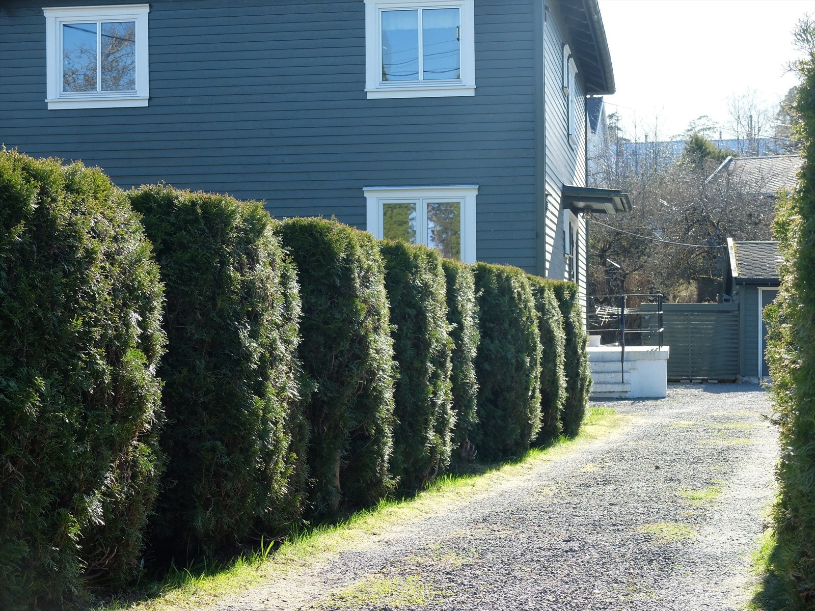 Egne bilder Galleribilde