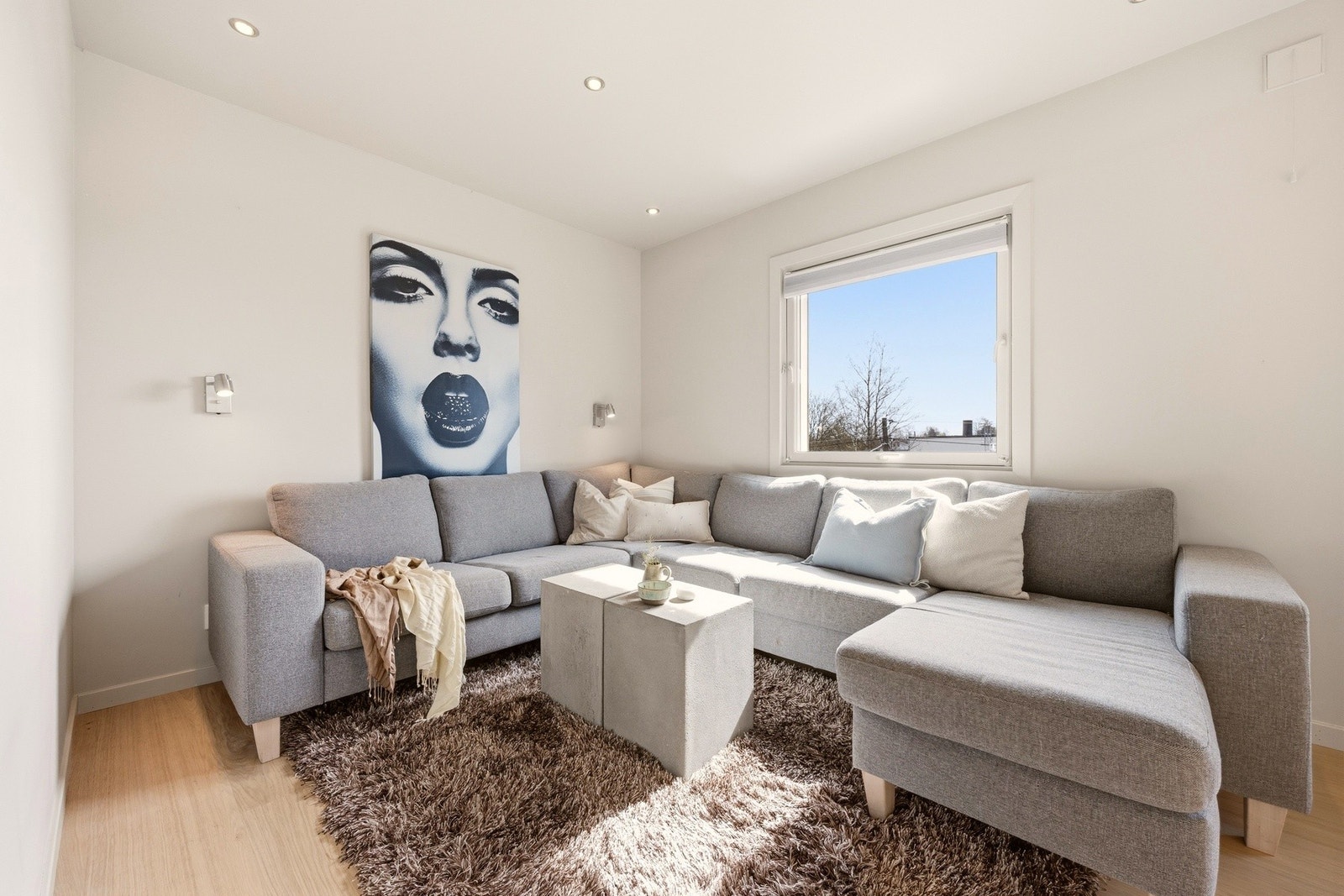 Dette soverommet egner seg godt som en ungdomsdel, med god plass til både seng, stor sofa og TV. Galleribilde