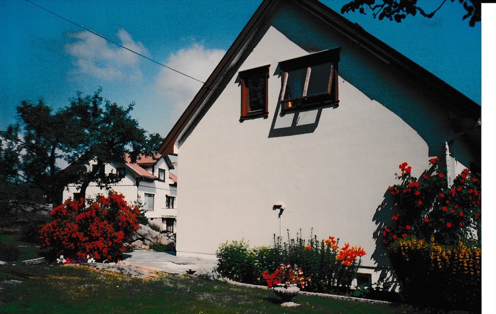 Selgers private bilder fra hagen. Galleribilde