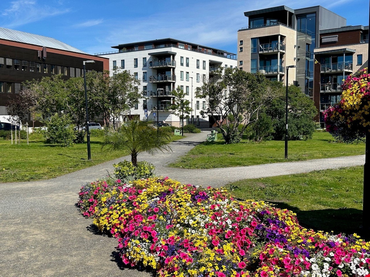 Selgers eget foto. Galleribilde