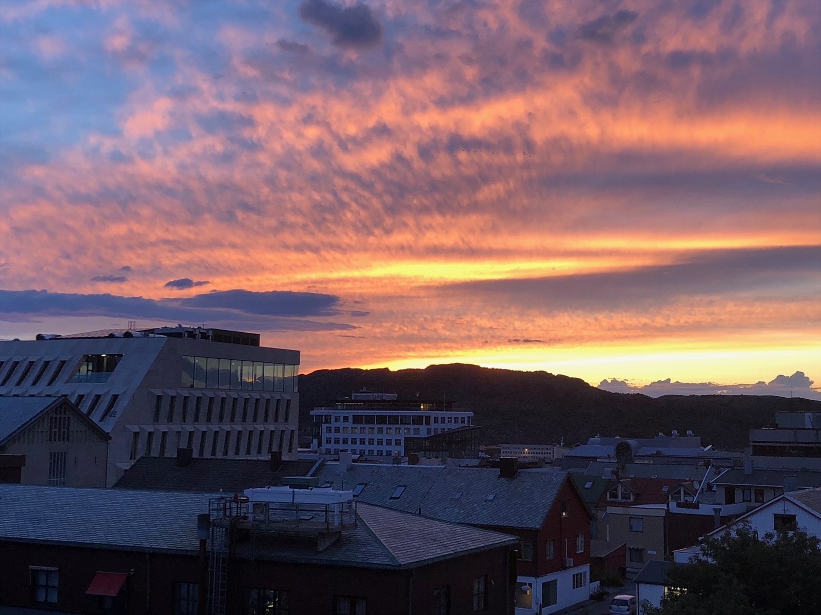 Selgers eget foto. Galleribilde