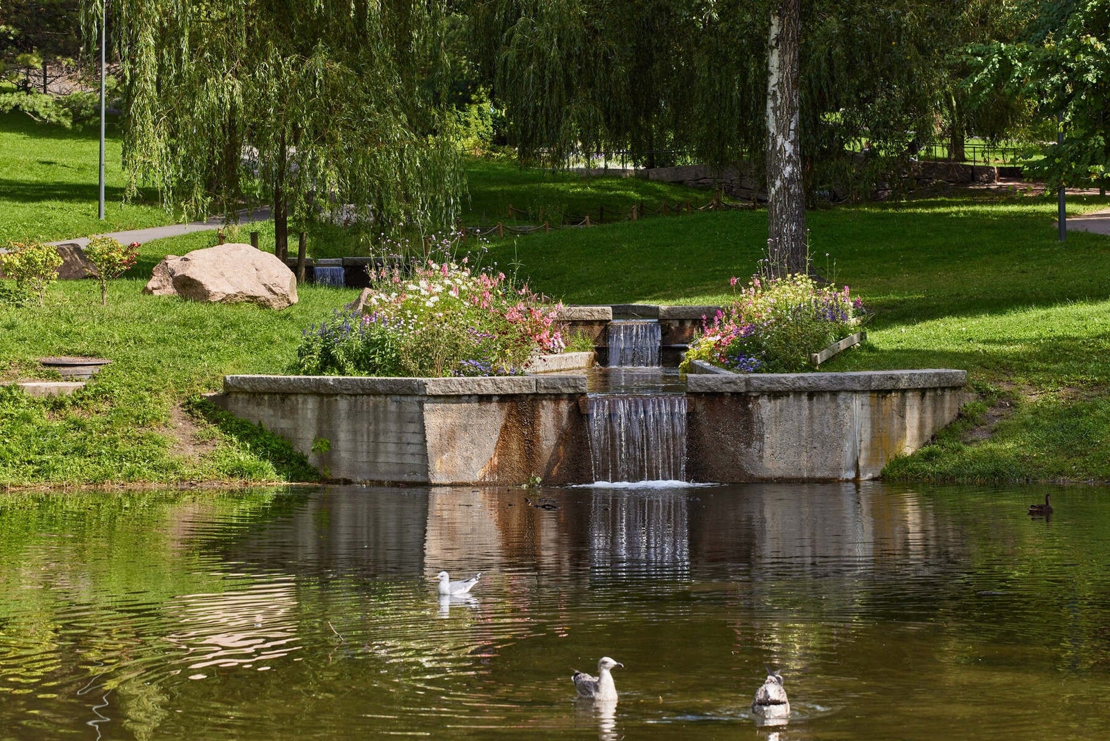 Områdebilde. Galleribilde