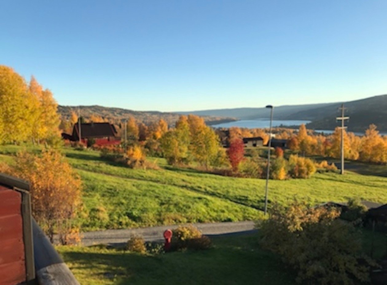 Selgers utsiktsbilde en sensommer/høstdag Galleribilde