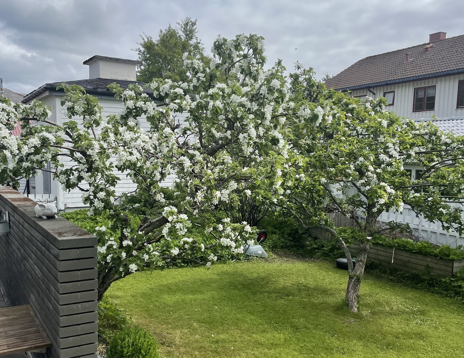 Hagebilde tatt av eiere Galleribilde