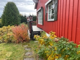 Selgers eget bilde. Galleribilde