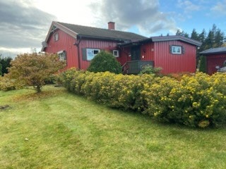 Selgers eget bilde. Galleribilde