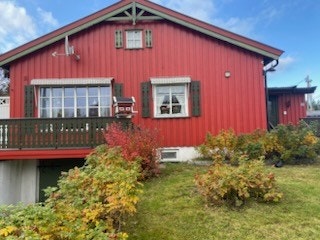 Selgers eget bilde. Galleribilde