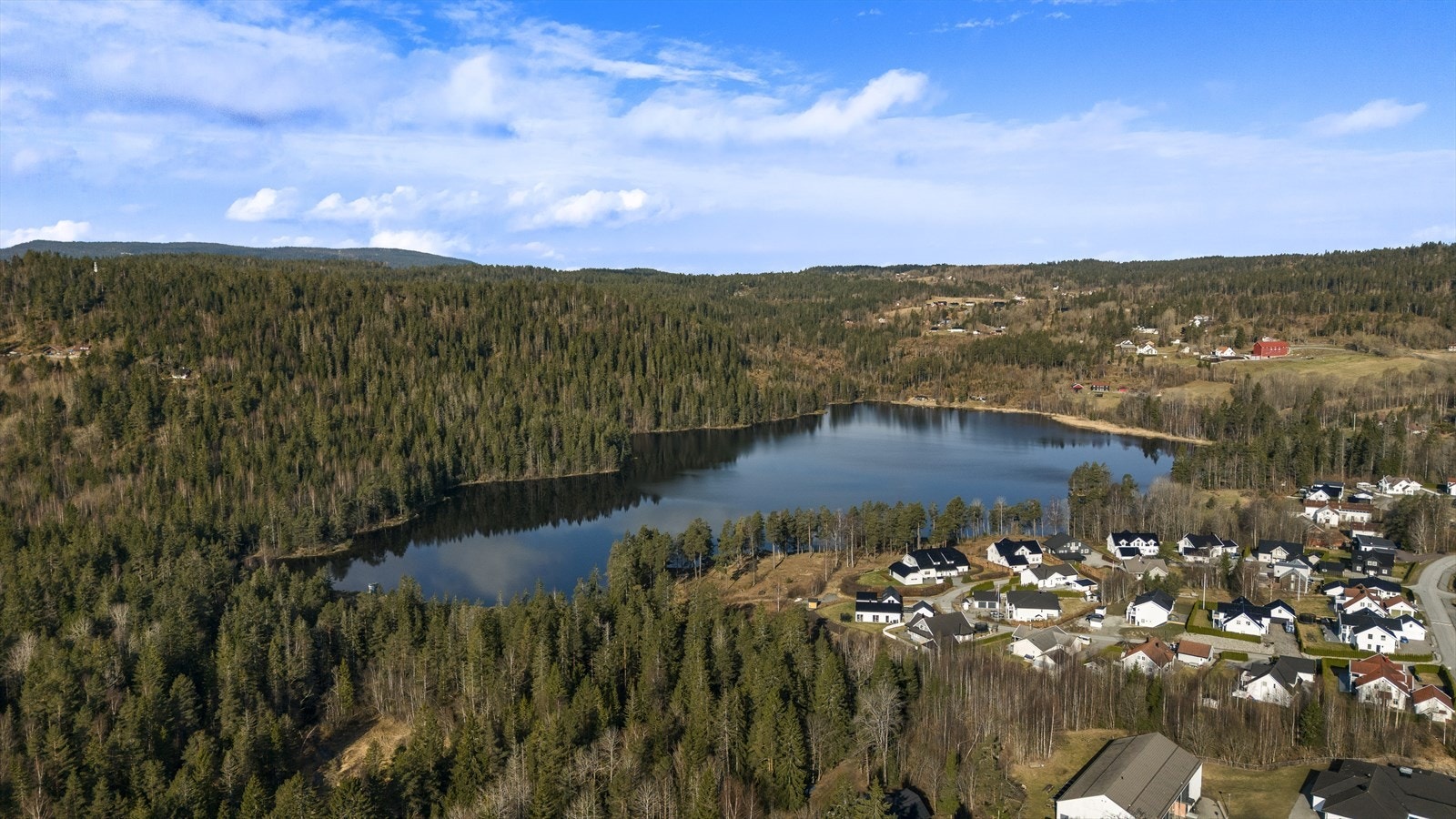 Eiendommen ligger flott til med umiddelbar tilgang til både skog og mark. Her fra Stordammen. Galleribilde