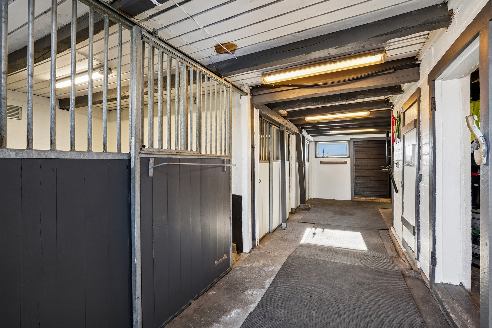 Bokser for hest i stall Galleribilde