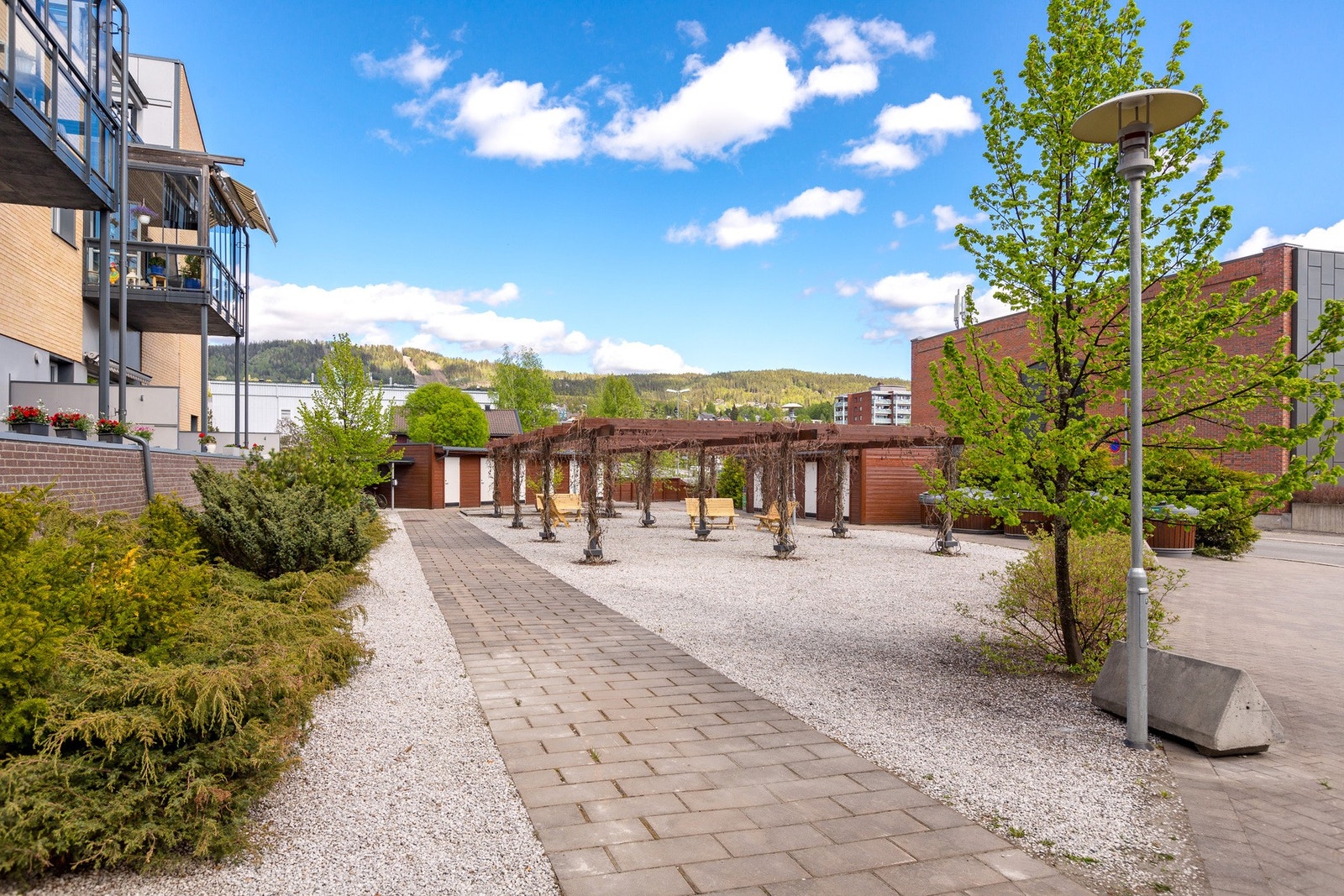 Pen beplantning på felles område Galleribilde