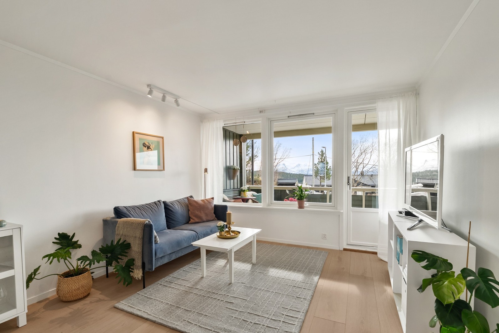 Store vindusflater slipper inn godt med naturlig lys i rommet. Galleribilde