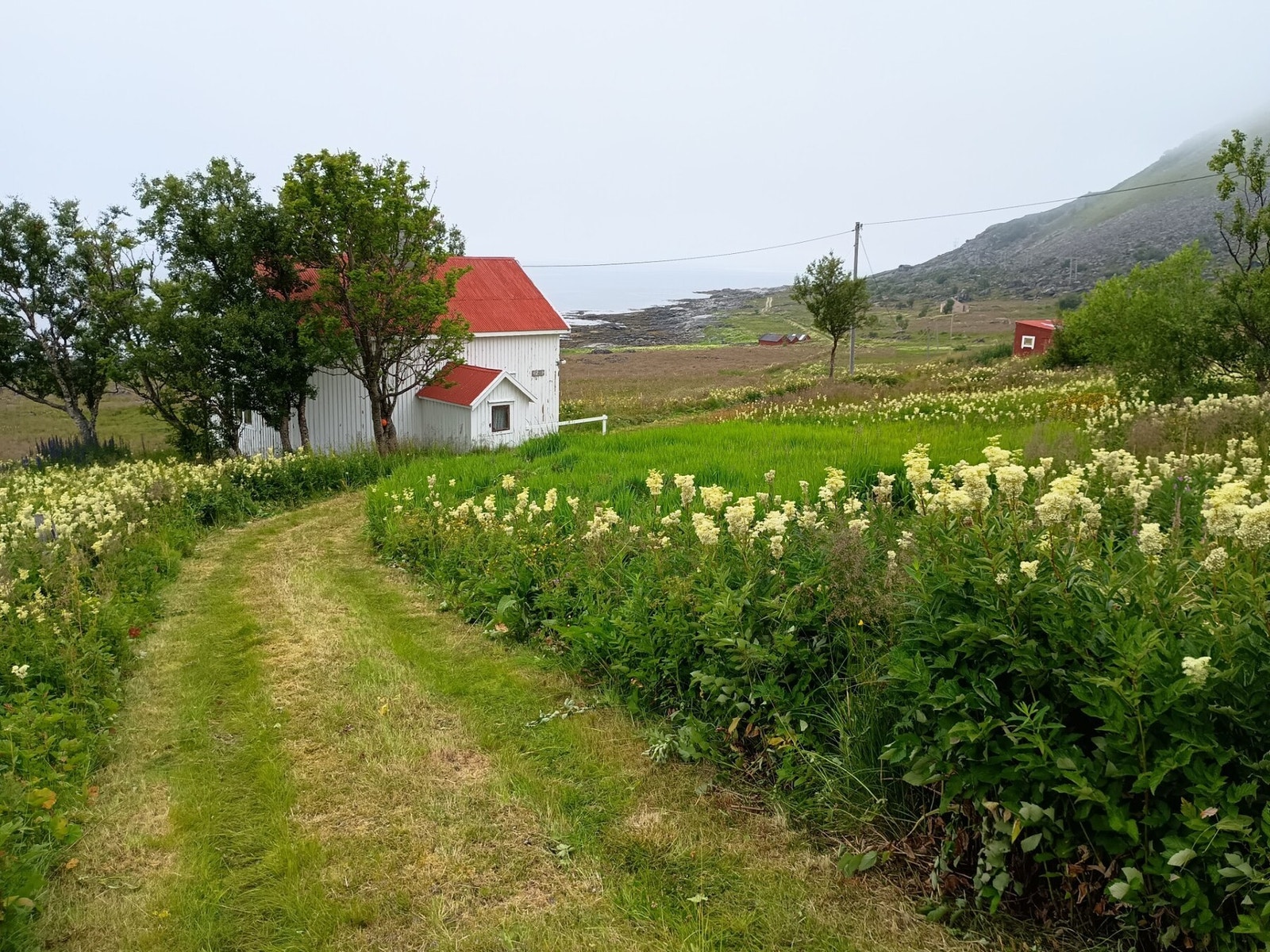 Bilde tatt av selger. Galleribilde