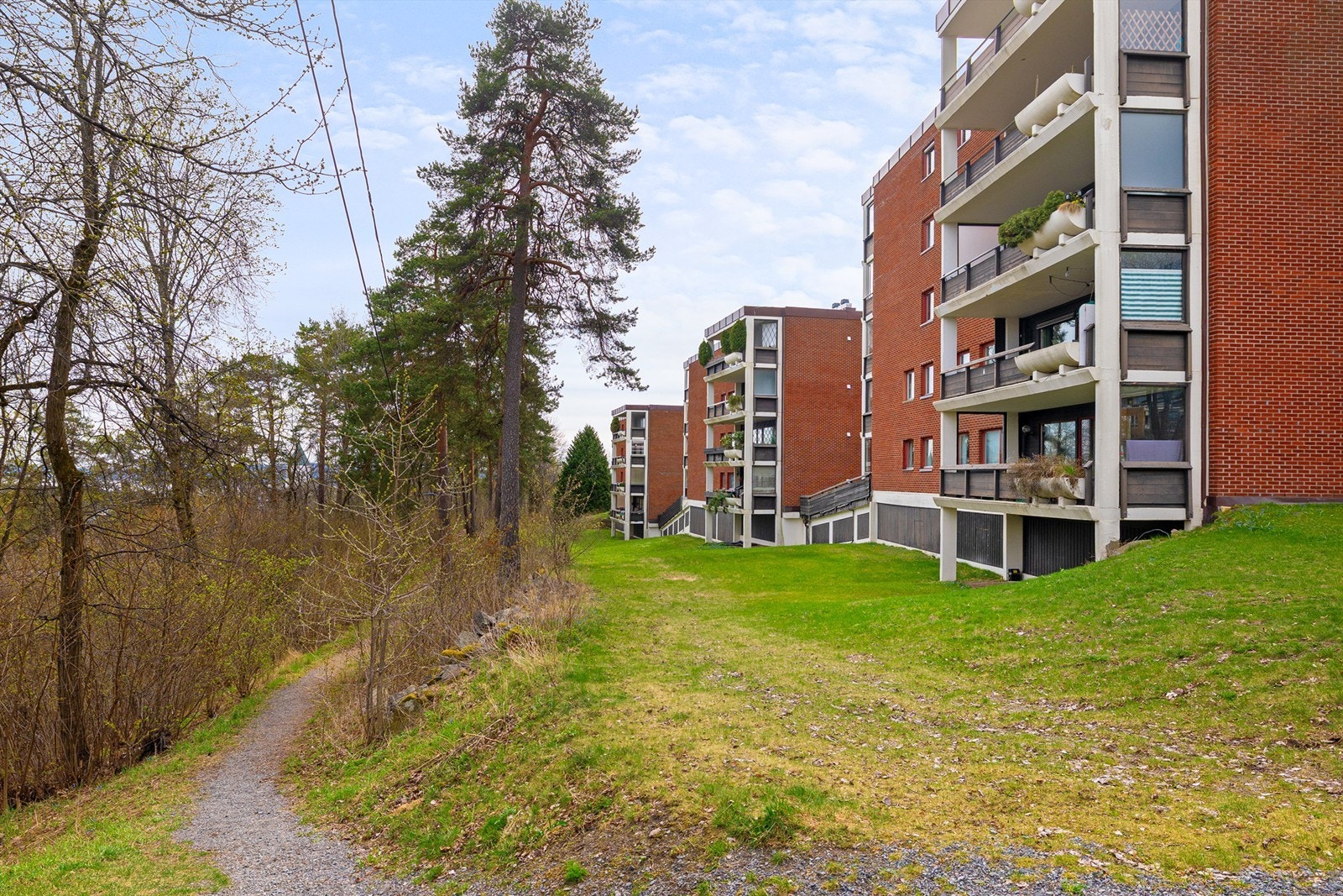 Fra eiendommen er det kort vei til turstier og rekreasjonsområder i skog og mark. Galleribilde