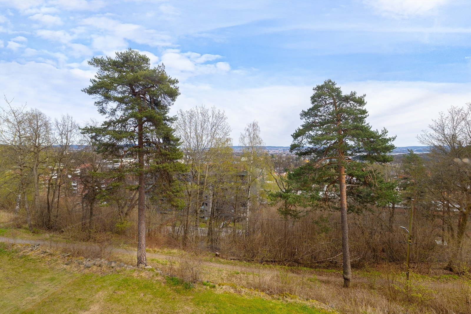 Utsyn over det grønne og frodige nærområdet. Eiendommen ligger i et område med nærhet til natur og turmuligheter. Galleribilde