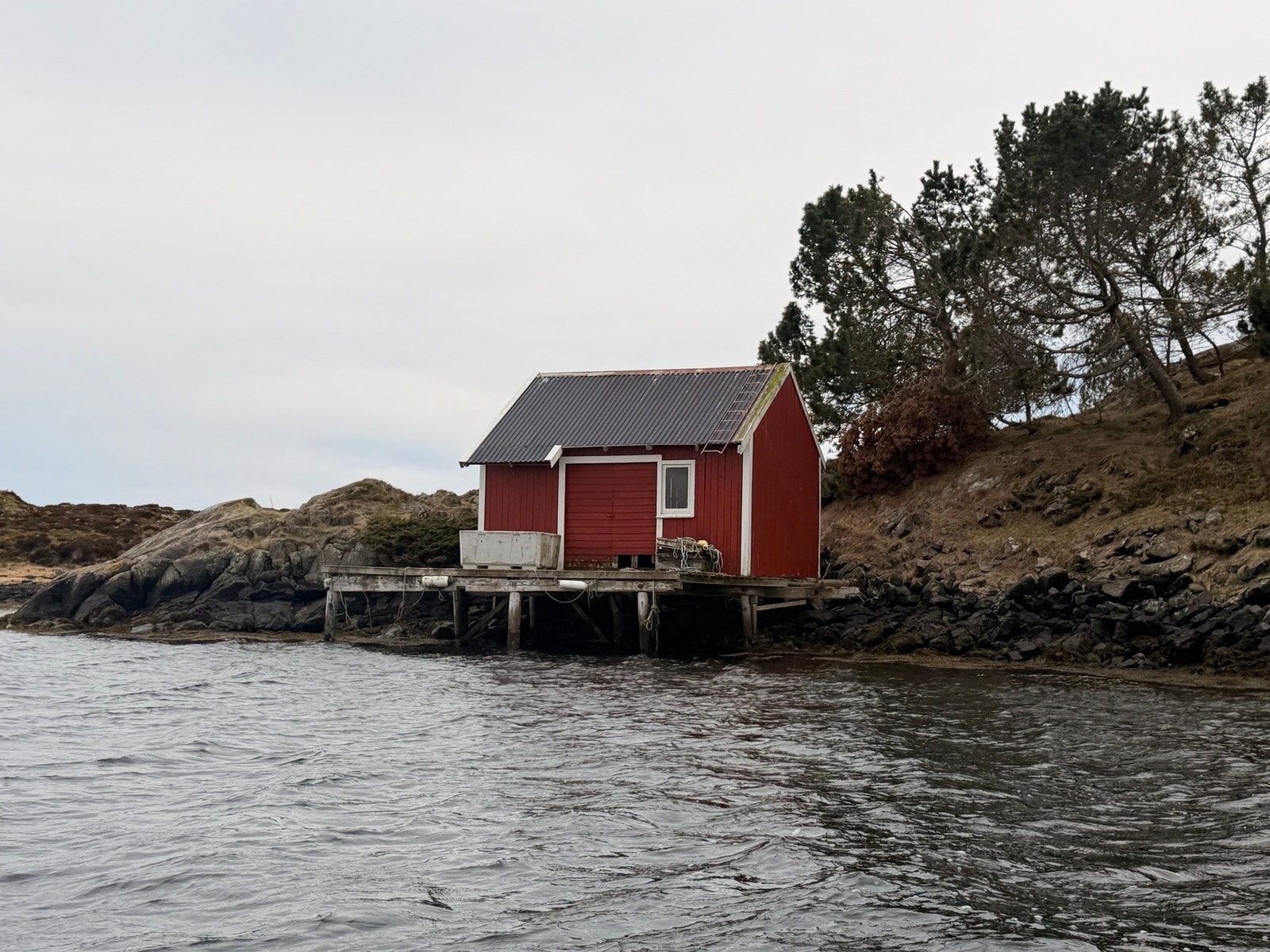 Naust. Galleribilde