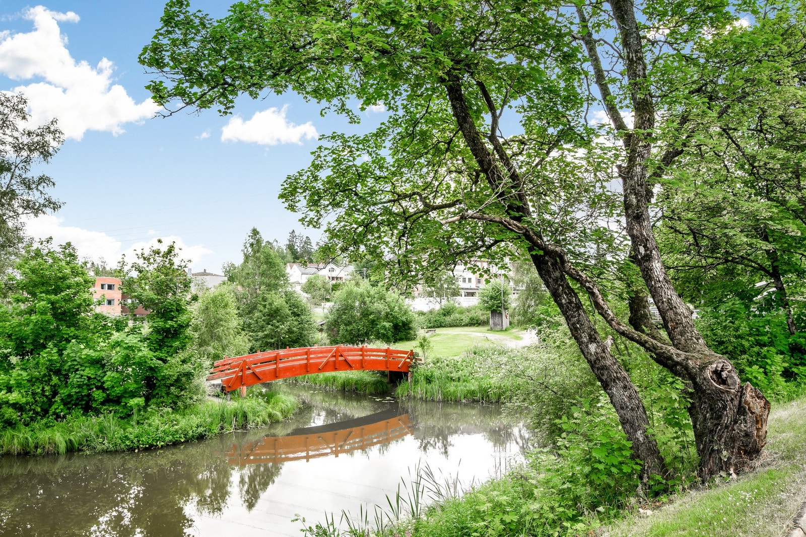 Langvannet egner seg også for jogge- eller spaserturer. Galleribilde