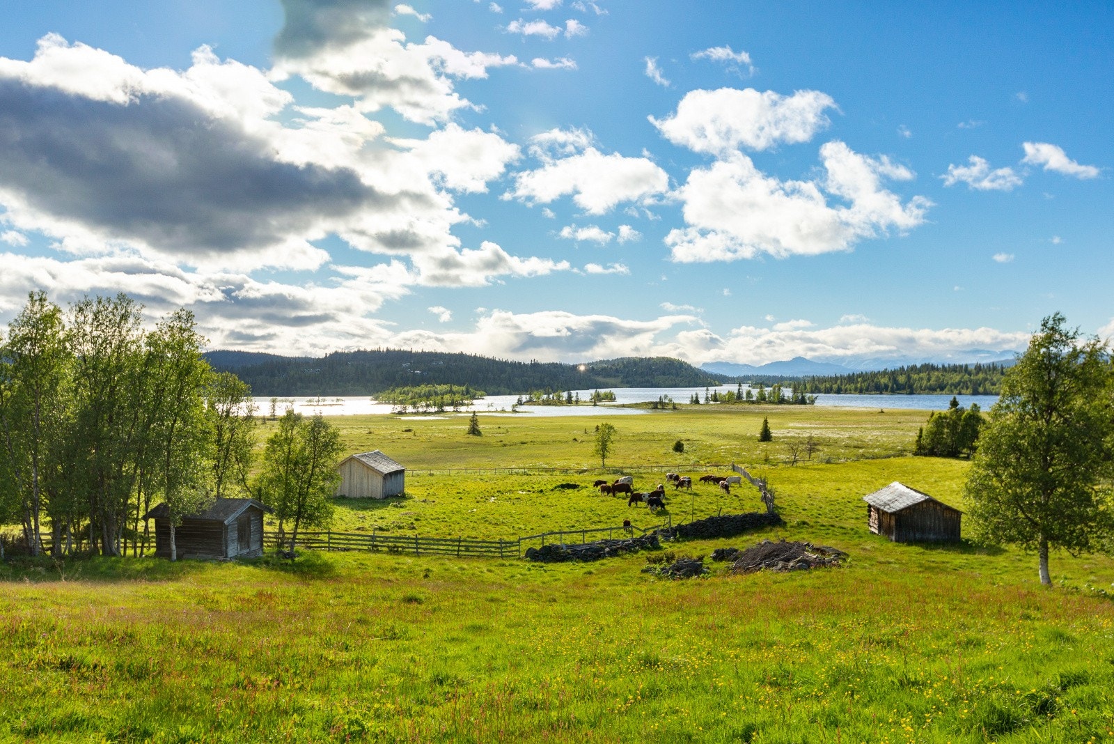 Stølsmiljøet ved Vangsjøen Galleribilde