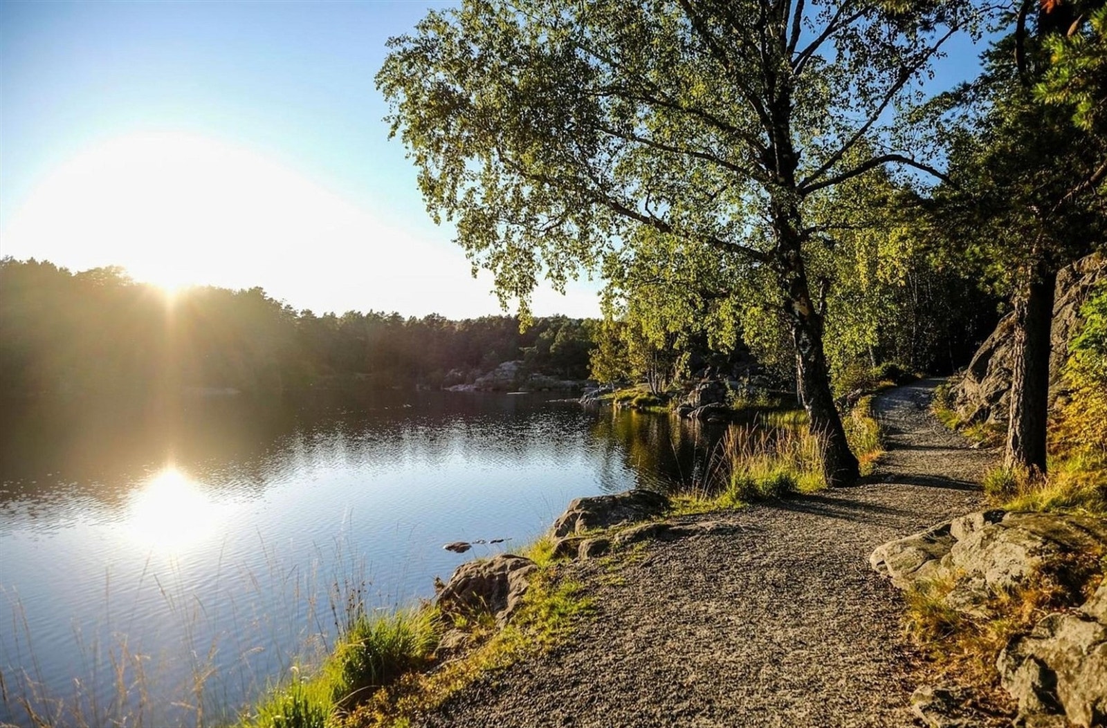 Baneheia med flott lysløype, badevann og bymark Galleribilde