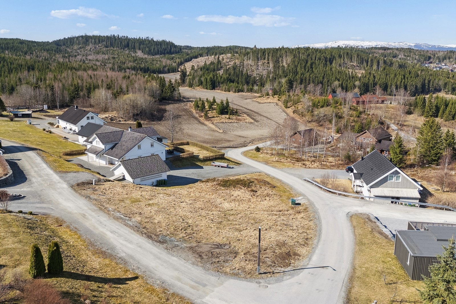 Eiendommen har umiddelbar nærhet til skog og mark. Galleribilde