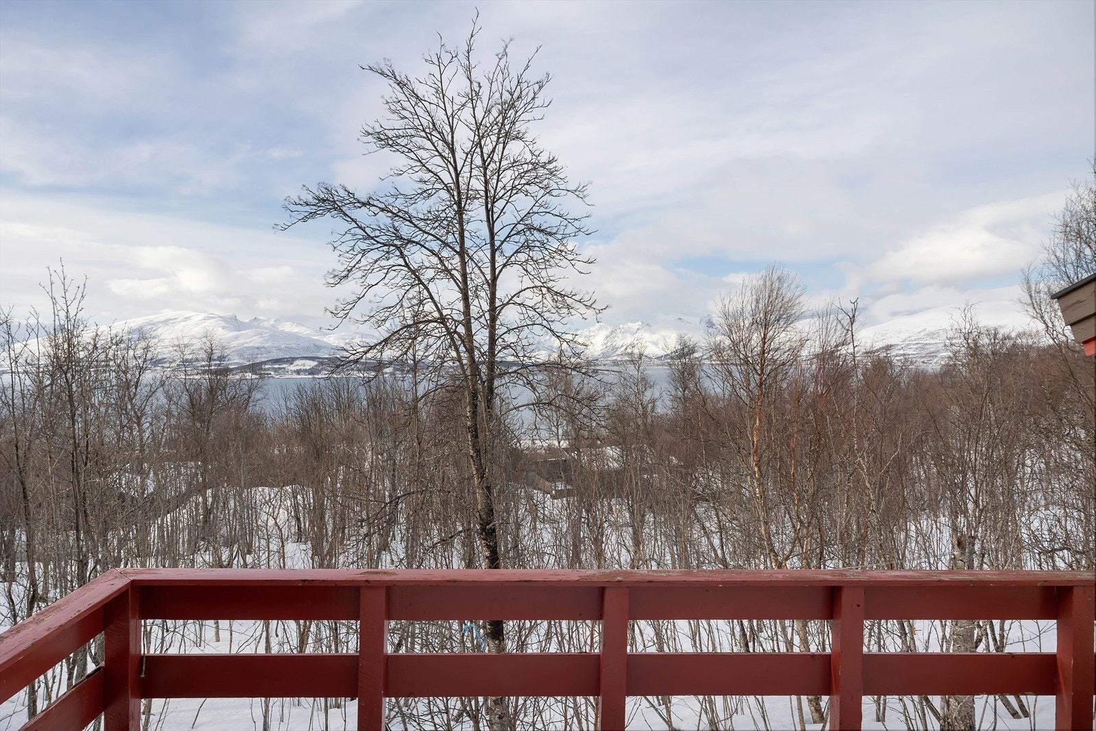 Utsikt mot vest. Galleribilde