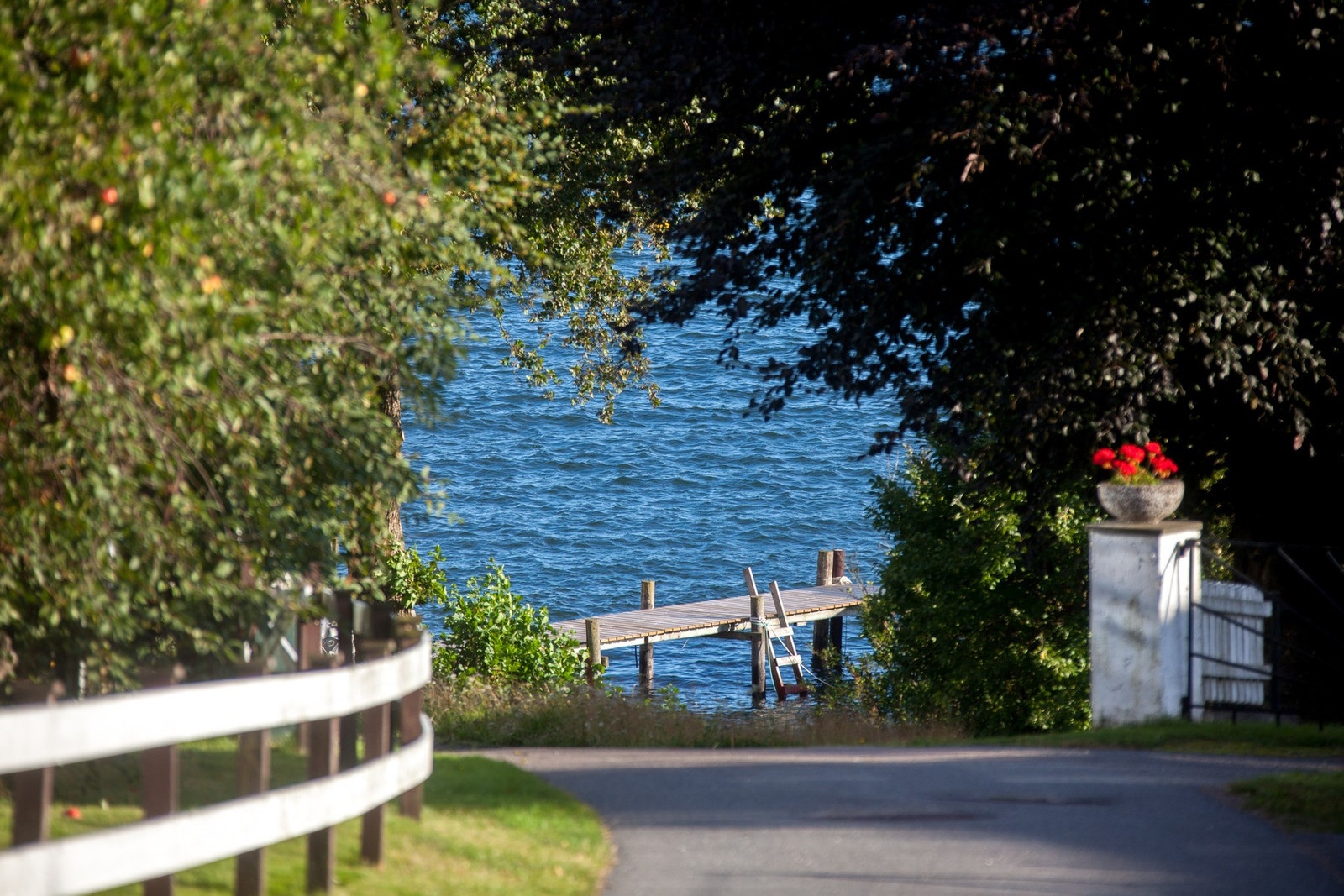 Et lite sommerparadis! Galleribilde