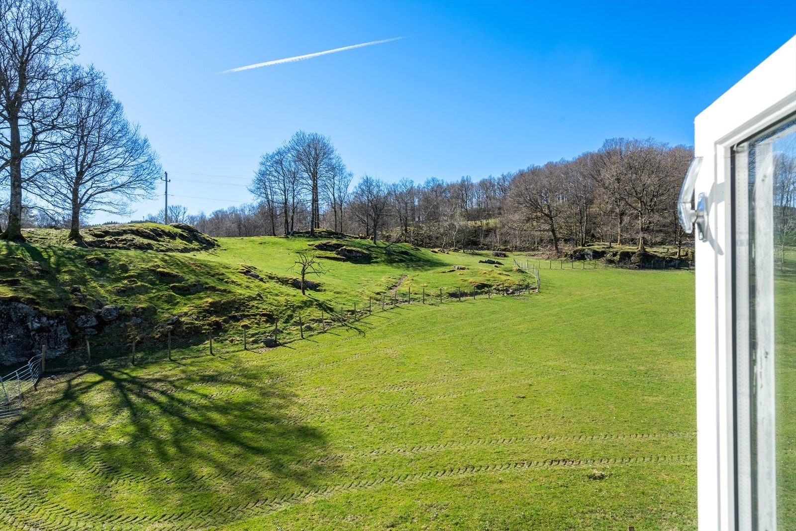 TIM06320 Galleribilde