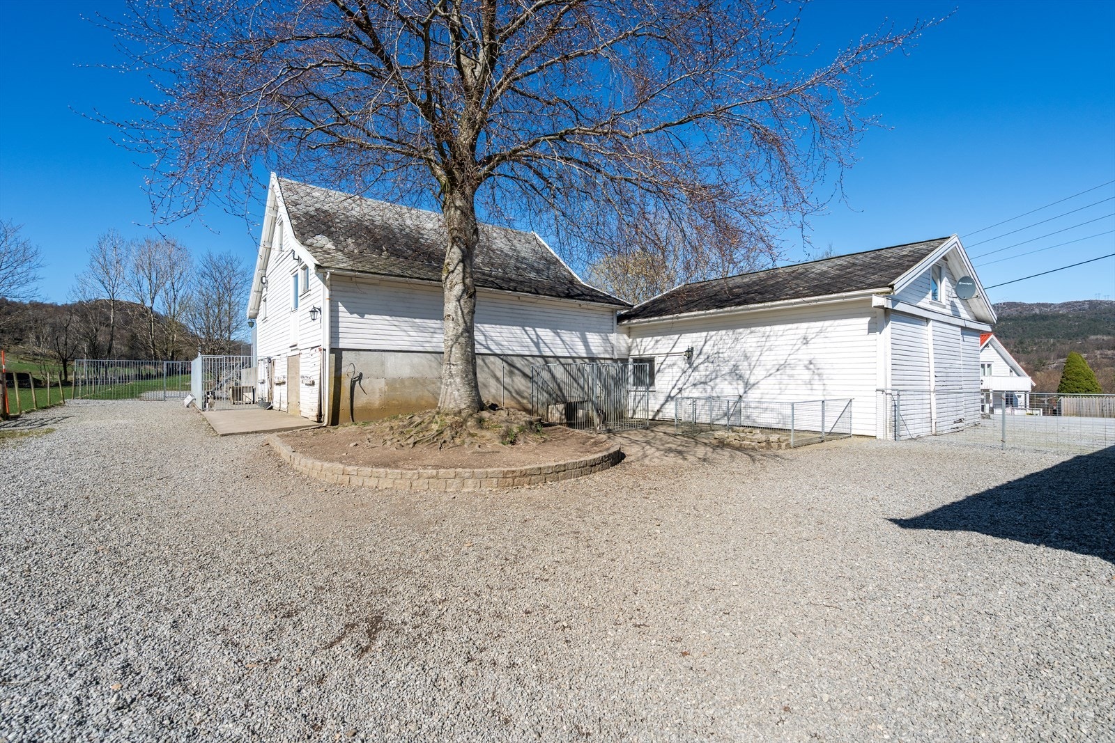 TIM06455 Galleribilde