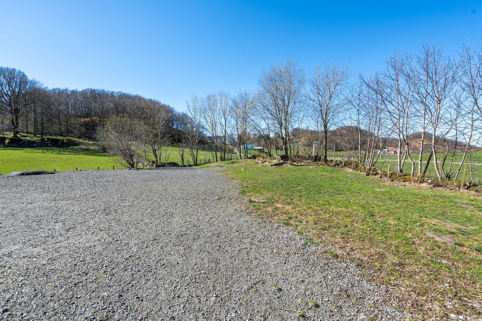 TIM06451 Galleribilde