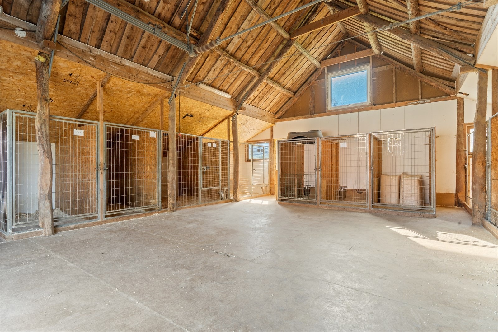 TIM06441 Galleribilde