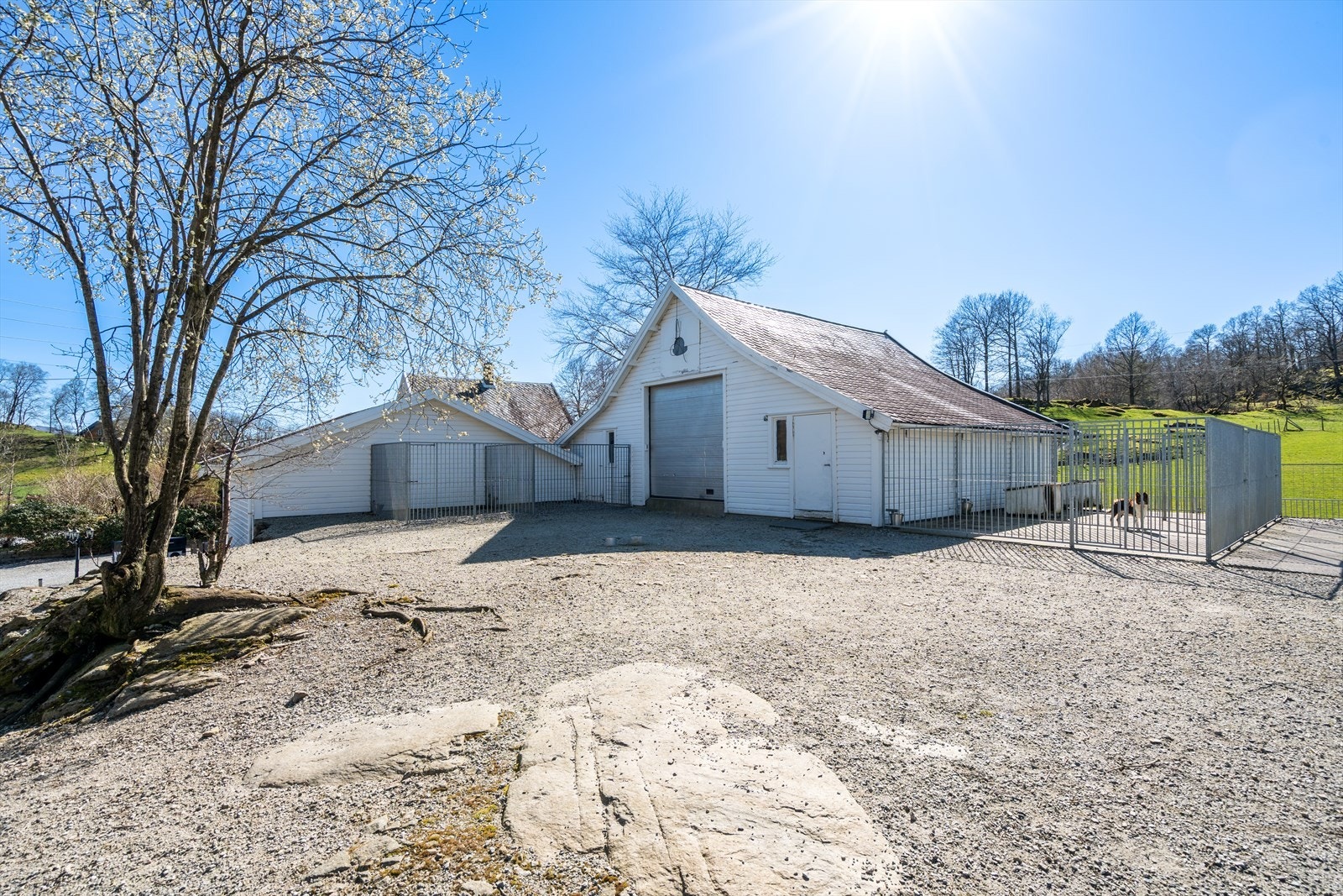 TIM06452 Galleribilde
