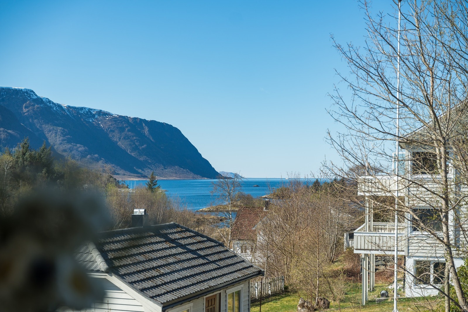 Utsikt fra stuevinduet. Galleribilde