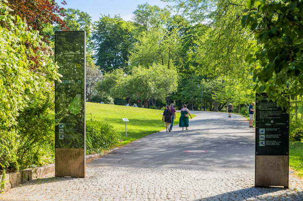 Botanisk Hage ligger ikke langt unna døren. Her finnes kafé, museum, gallerier og gode muligheter for piknik. Galleribilde