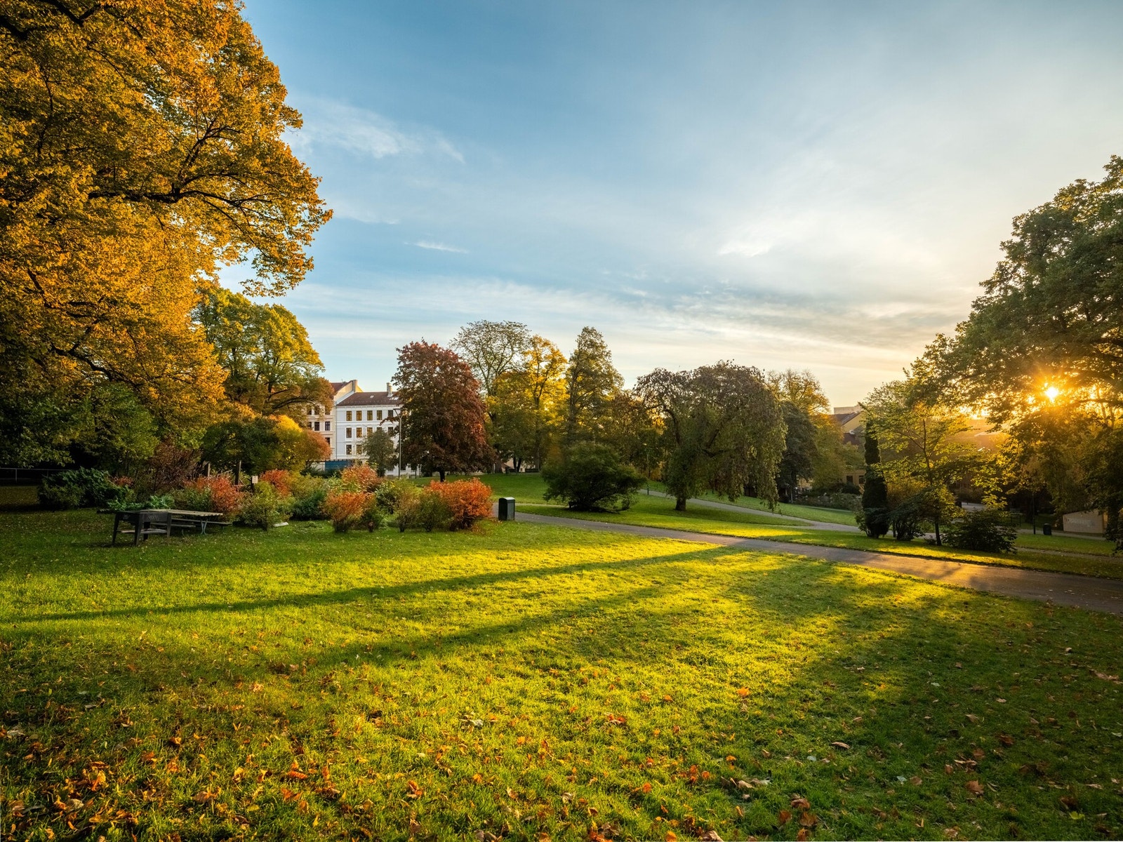 Rett ved leiligheten er også et bredt tilbud av parker og grøntområder. Her fra Bjølsenparken. Galleribilde