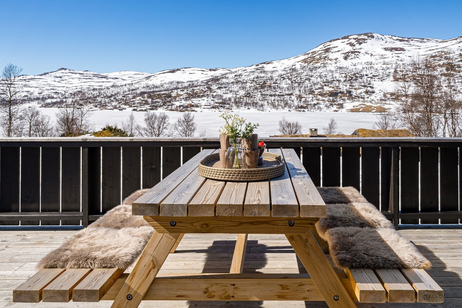 Området rundt Skarvatnet er det perfekte for deg som er glad i friluft og natur. Galleribilde