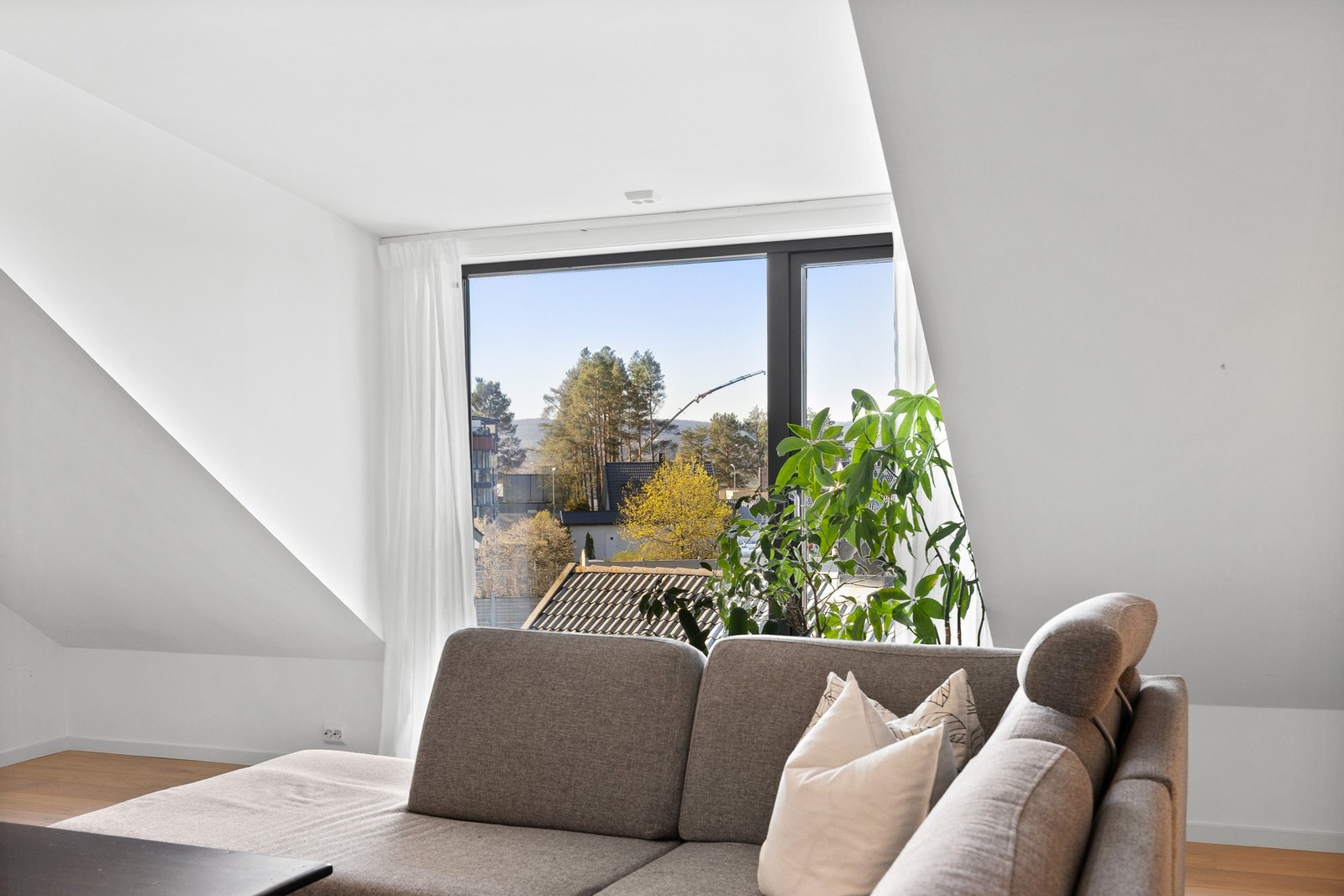 Store vindusoverflater som gir rikelig med naturlig lysinnslipp. Galleribilde