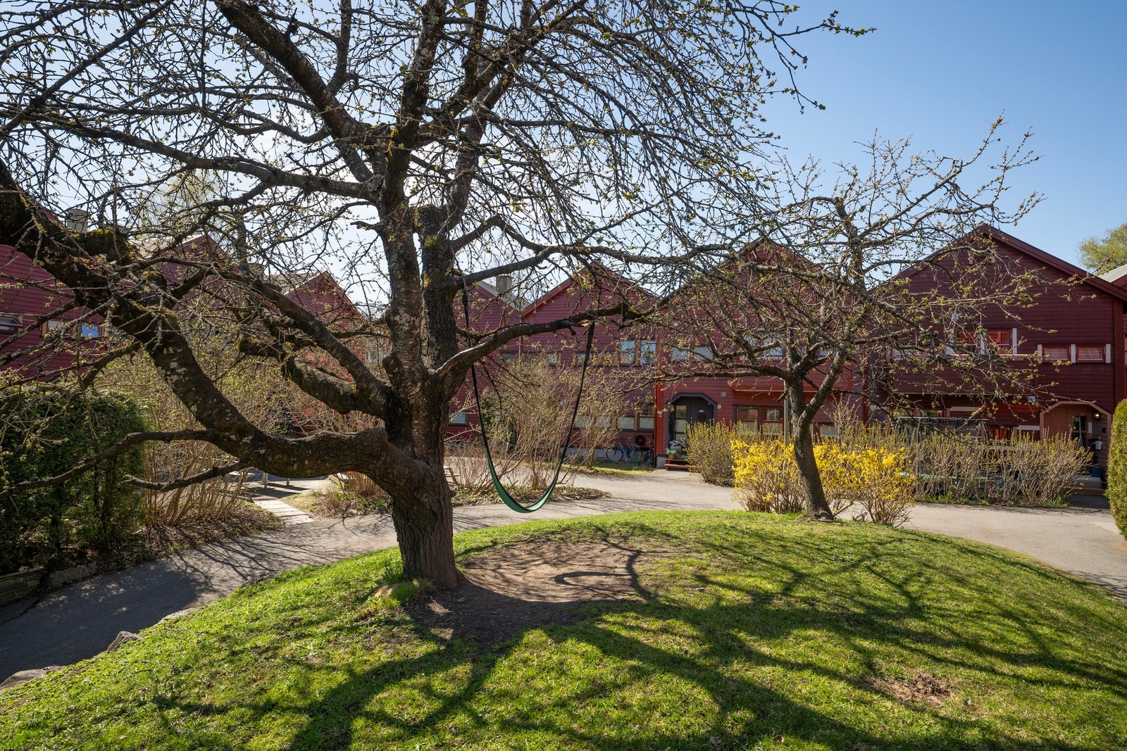 Frodige, tilbaketrukne og pent opparbeidede fellesarealer. Galleribilde