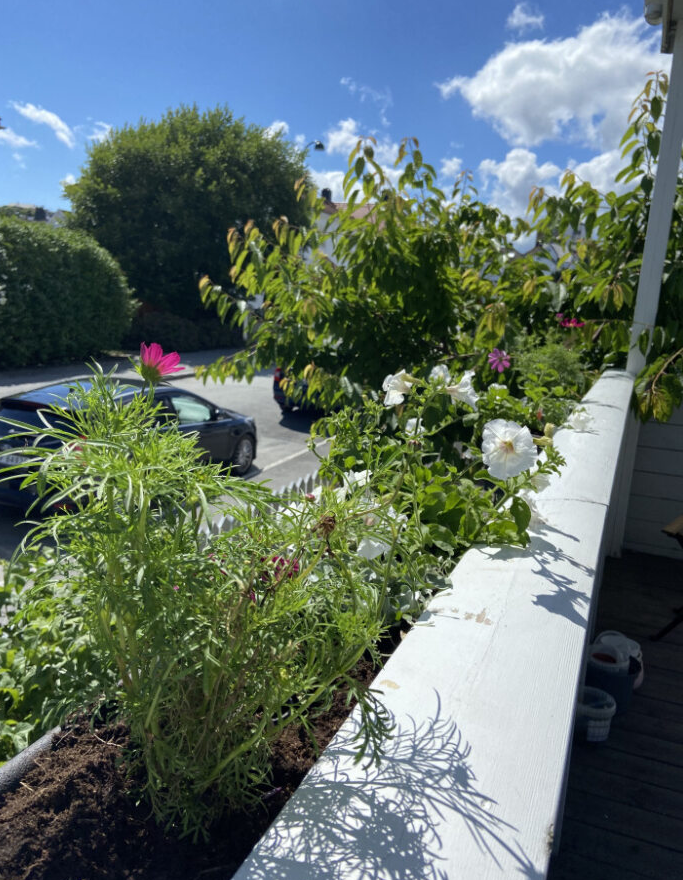 Sommerhilsen fra selger! Våren er her og snart vil du kunne oppdage flott beplantning på både frem- og baksiden av boligen. På tomten finner du gressplen, hekk og annen beplantning. Det er et rolig og barnevennlig område med mange barnefamilier. Galleribilde