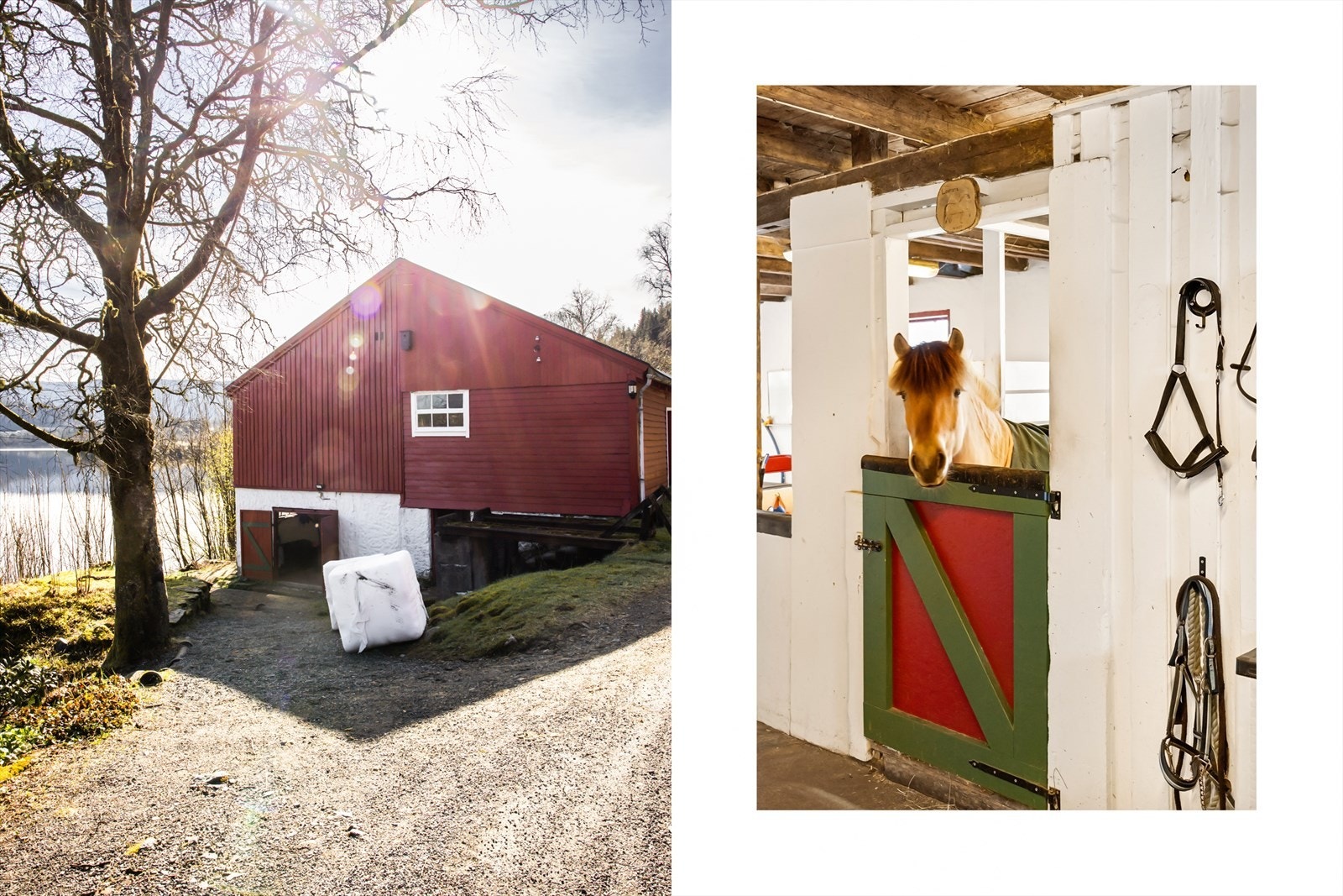 Fin og velstelt stall med plass til flere hester. Eier har ikke selv hest. Galleribilde