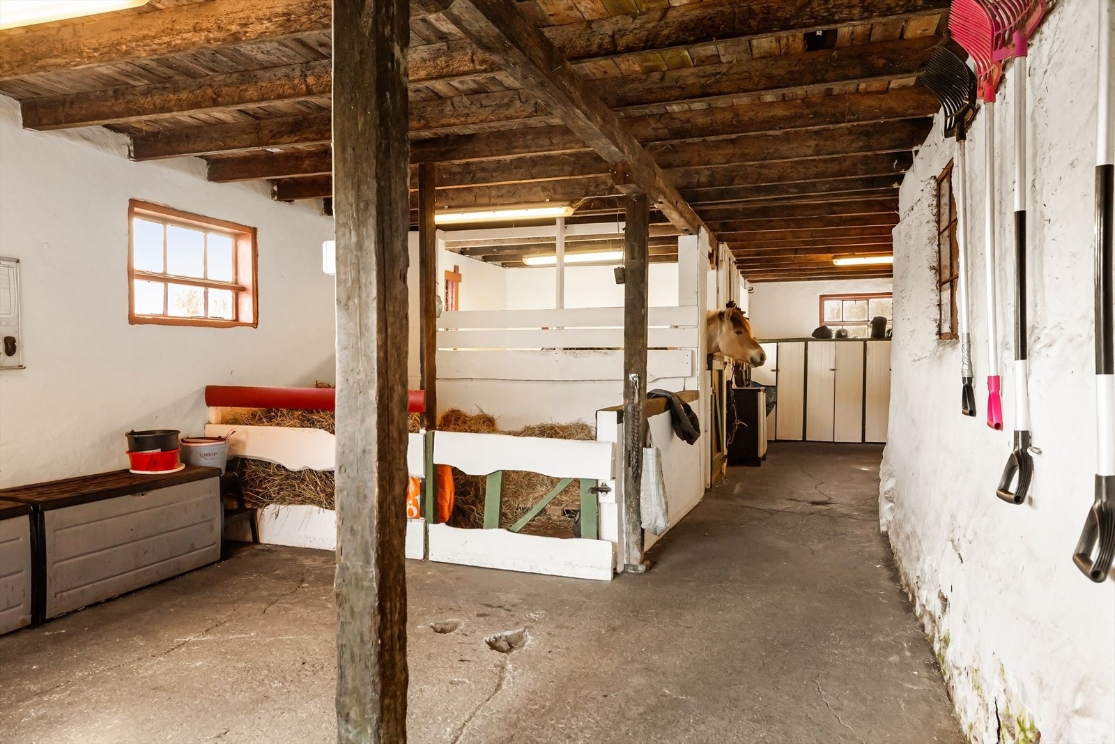 De som leier bås har ansvaret for stell av stallen innvendlig. Galleribilde