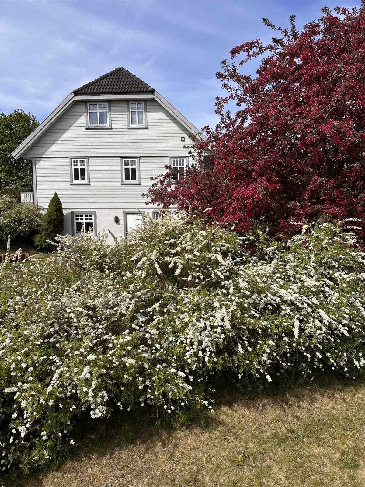 Her kan man nyte flotte sommerdager (selgers private bilde). Galleribilde