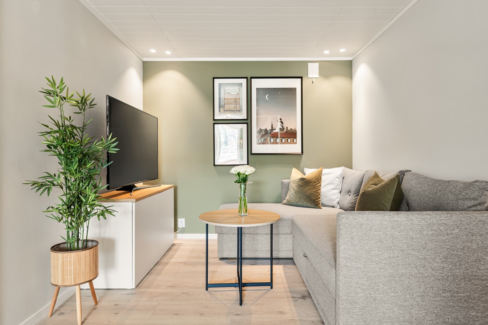 I underetasjen finner man en TV-stue/gang på 23,8 m², som gir ekstra oppholdsareal og fleksible bruksmuligheter. Galleribilde