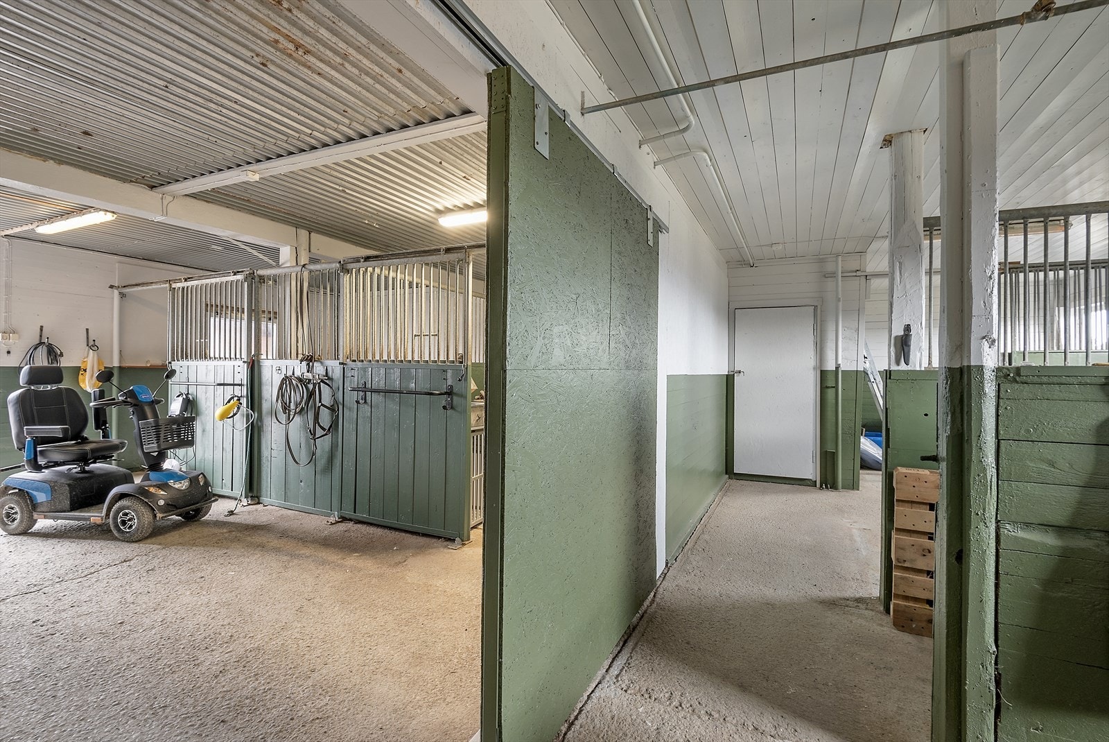 Stallplasser. Galleribilde